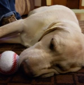 Meet your Posher, Jackson